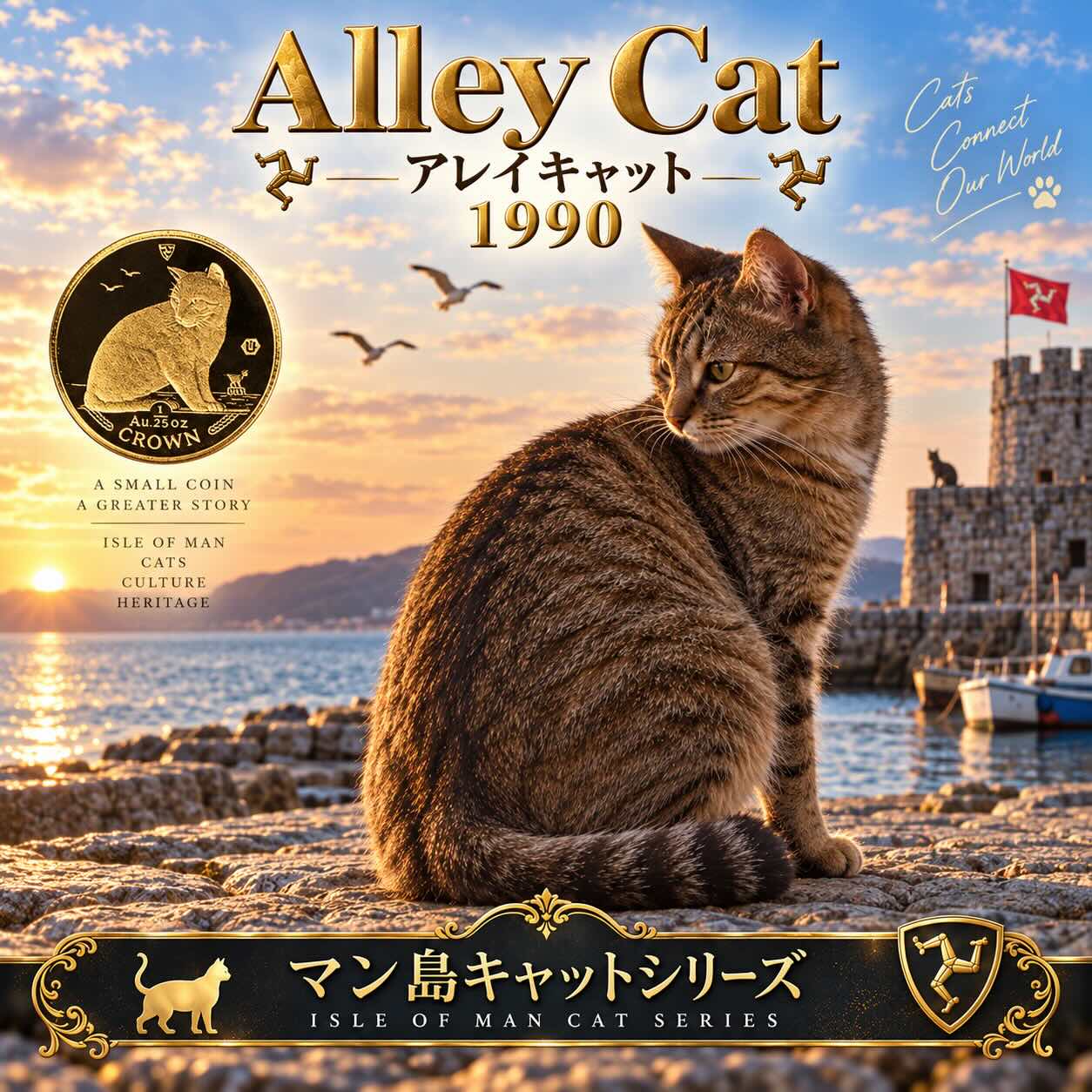 アレイキャット 見本画像