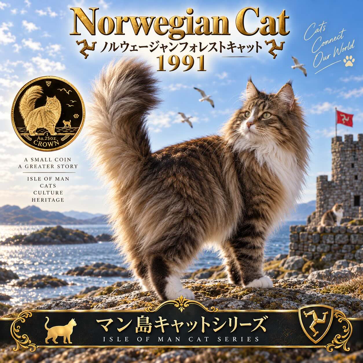 ノルウェージャンフォレストキャット 見本画像