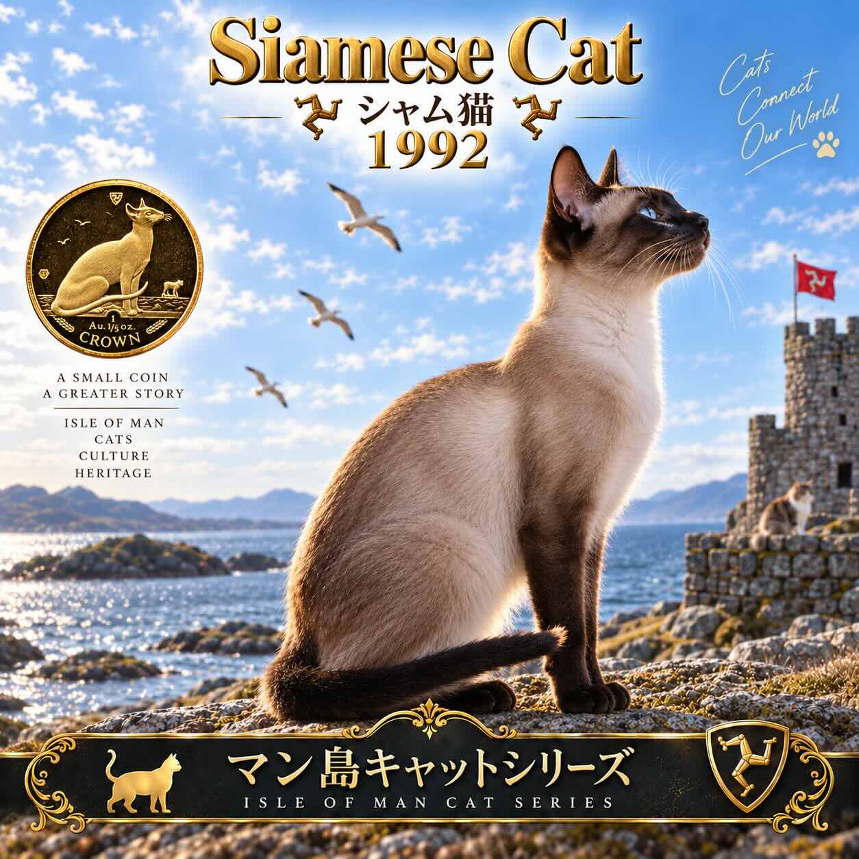 シャム猫 見本画像