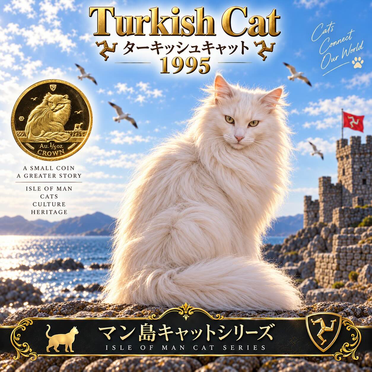 ターキッシュキャット 見本画像
