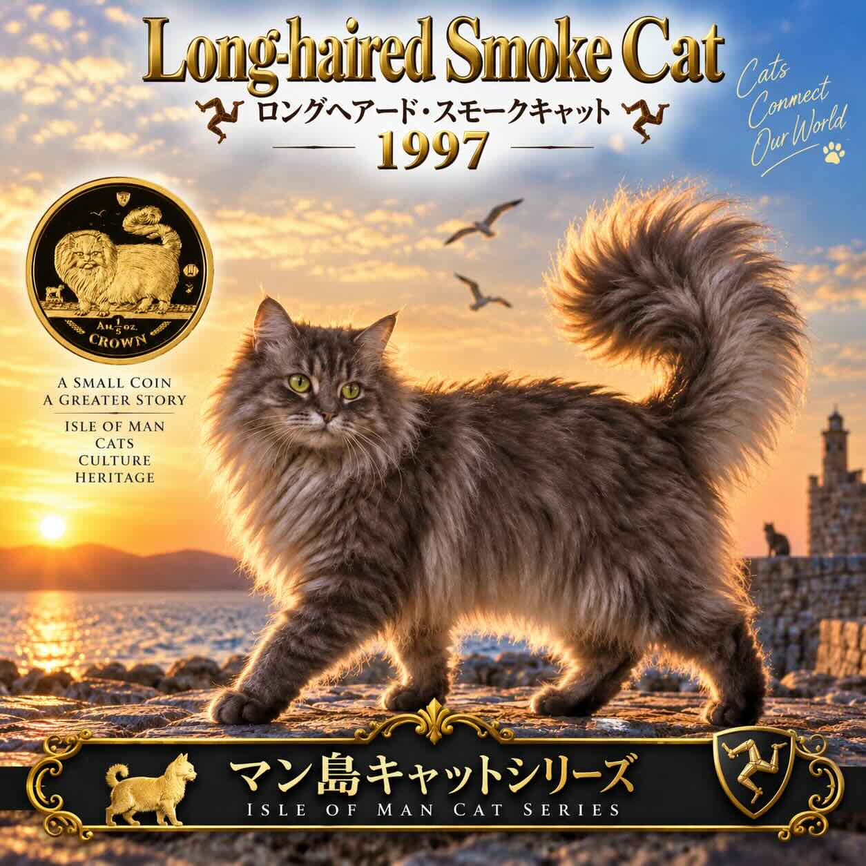 ロングヘアード・スモークキャット 見本画像